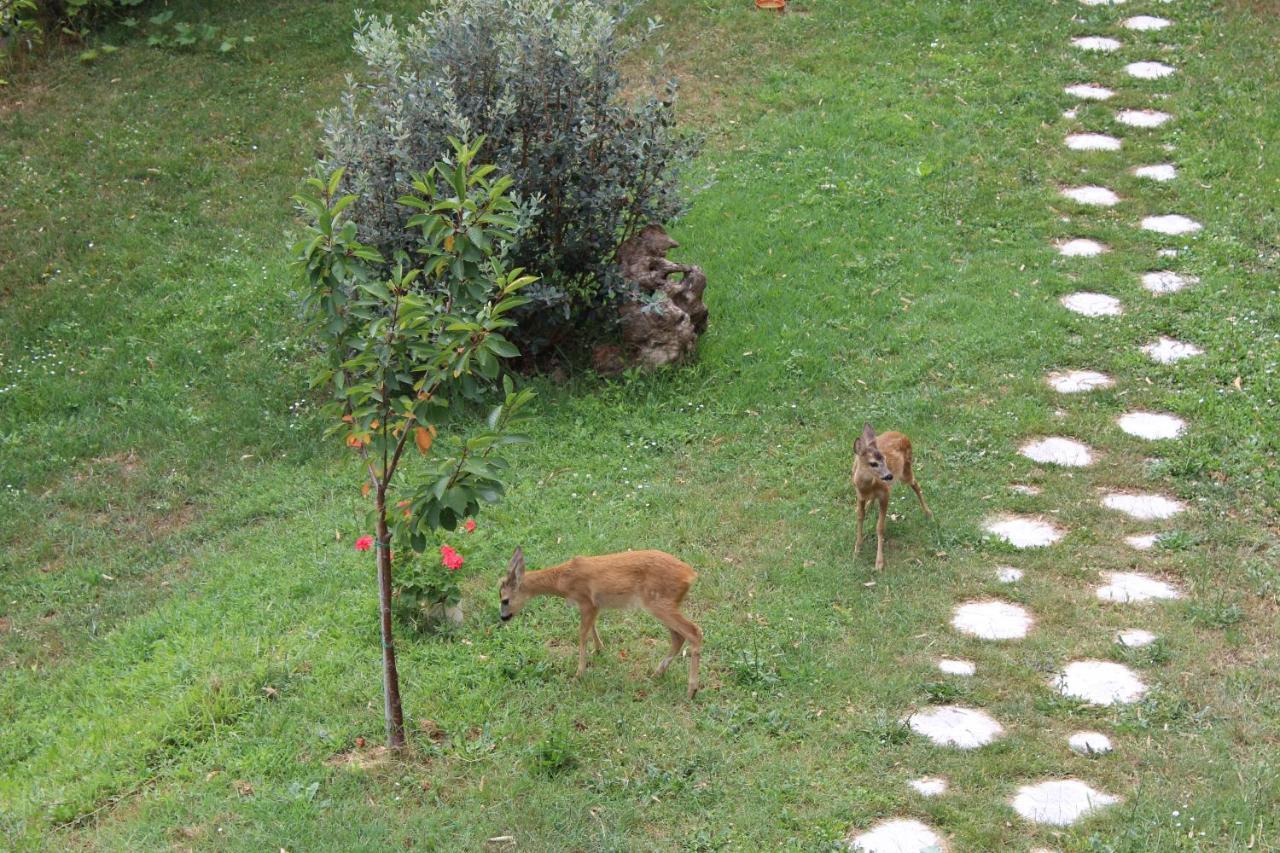 Segni E Impronta Bed & Breakfast Finale Ligure Exterior photo